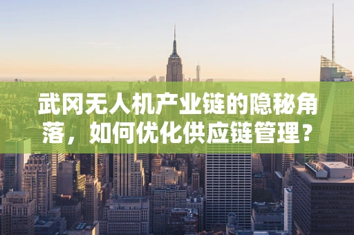 武冈无人机产业链的隐秘角落，如何优化供应链管理？