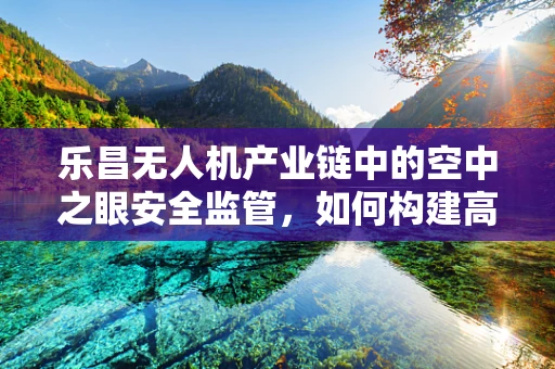 乐昌无人机产业链中的空中之眼安全监管，如何构建高效监控体系？