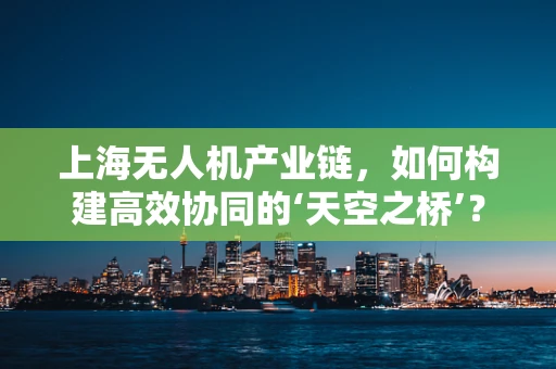 上海无人机产业链，如何构建高效协同的‘天空之桥’？