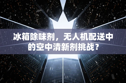 冰箱除味剂，无人机配送中的空中清新剂挑战？