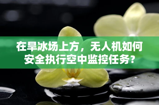 在旱冰场上方，无人机如何安全执行空中监控任务？