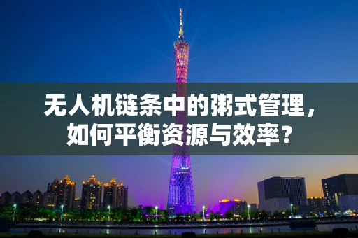 无人机链条中的粥式管理，如何平衡资源与效率？