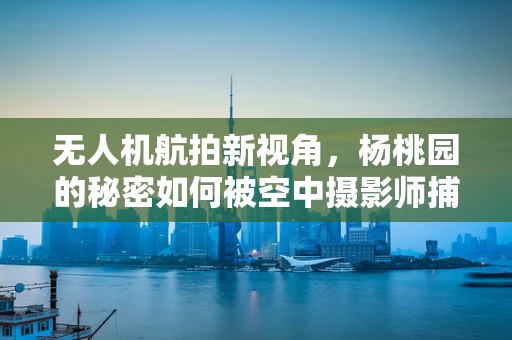 无人机航拍新视角，杨桃园的秘密如何被空中摄影师捕捉？