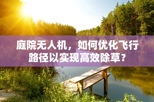 庭院无人机，如何优化飞行路径以实现高效除草？