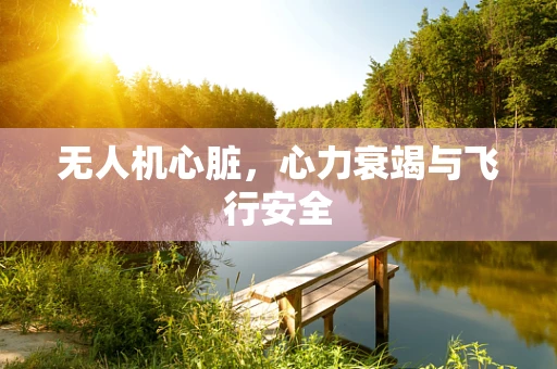 无人机心脏，心力衰竭与飞行安全