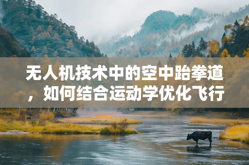 无人机技术中的空中跆拳道，如何结合运动学优化飞行控制？
