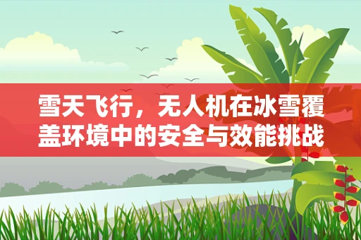 雪天飞行，无人机在冰雪覆盖环境中的安全与效能挑战