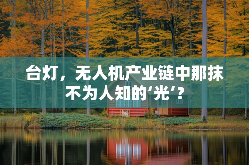 台灯，无人机产业链中那抹不为人知的‘光’？
