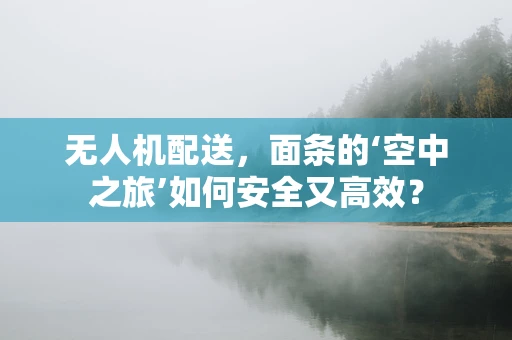 无人机配送，面条的‘空中之旅’如何安全又高效？
