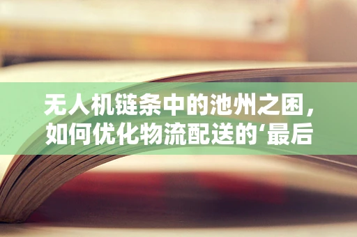 无人机链条中的池州之困，如何优化物流配送的‘最后一公里’？