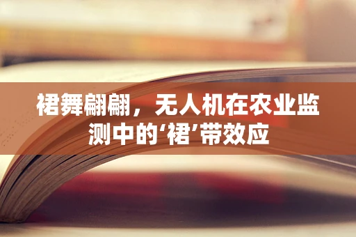 裙舞翩翩，无人机在农业监测中的‘裙’带效应