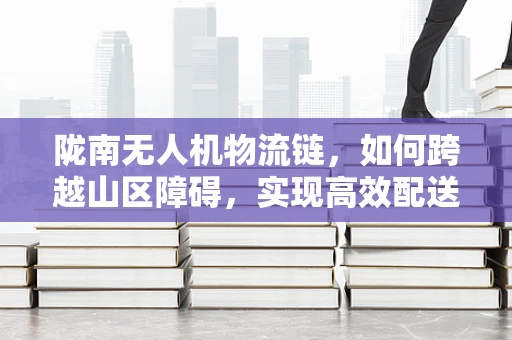 陇南无人机物流链，如何跨越山区障碍，实现高效配送？