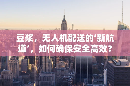 豆浆，无人机配送的‘新航道’，如何确保安全高效？