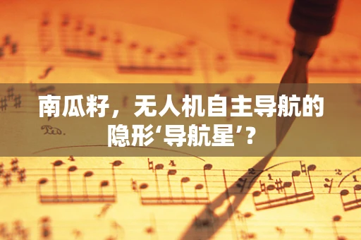 南瓜籽，无人机自主导航的隐形‘导航星’？
