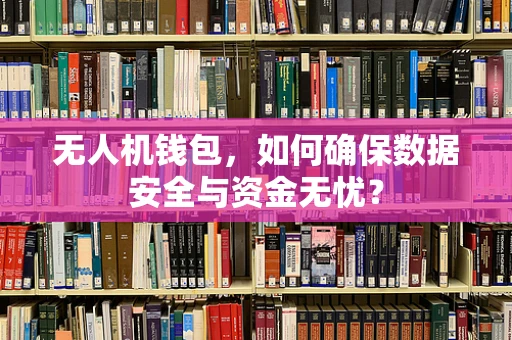 无人机钱包，如何确保数据安全与资金无忧？