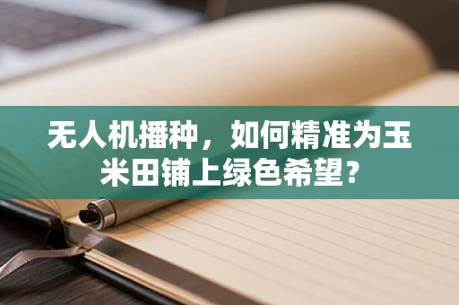 无人机播种，如何精准为玉米田铺上绿色希望？