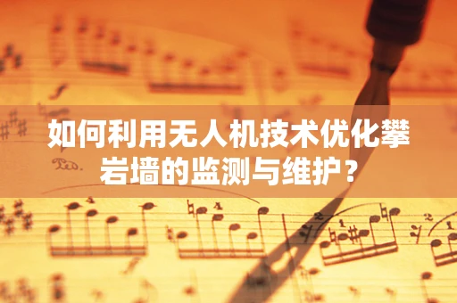 如何利用无人机技术优化攀岩墙的监测与维护？