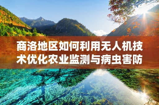 商洛地区如何利用无人机技术优化农业监测与病虫害防治？
