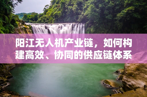 阳江无人机产业链，如何构建高效、协同的供应链体系？