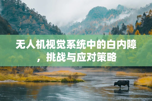 无人机视觉系统中的白内障，挑战与应对策略