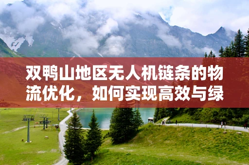 双鸭山地区无人机链条的物流优化，如何实现高效与绿色的双重飞跃？