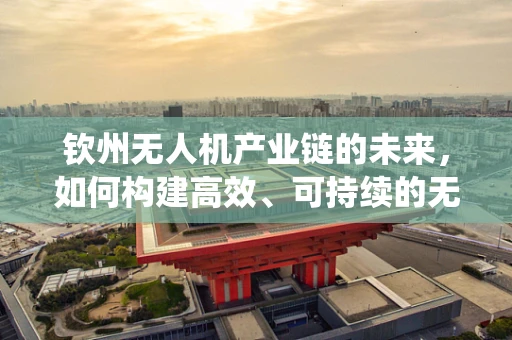 钦州无人机产业链的未来，如何构建高效、可持续的无人机生态系统？
