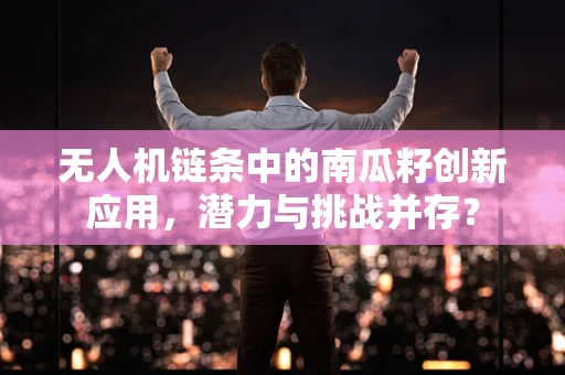 无人机链条中的南瓜籽创新应用，潜力与挑战并存？
