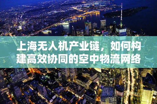 上海无人机产业链，如何构建高效协同的空中物流网络？