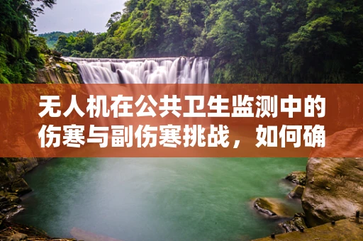 无人机在公共卫生监测中的伤寒与副伤寒挑战，如何确保数据安全与精准防控？
