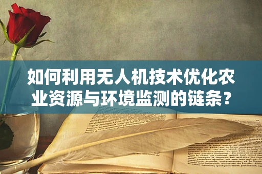 如何利用无人机技术优化农业资源与环境监测的链条？