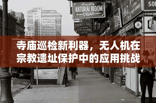 寺庙巡检新利器，无人机在宗教遗址保护中的应用挑战与解决方案？