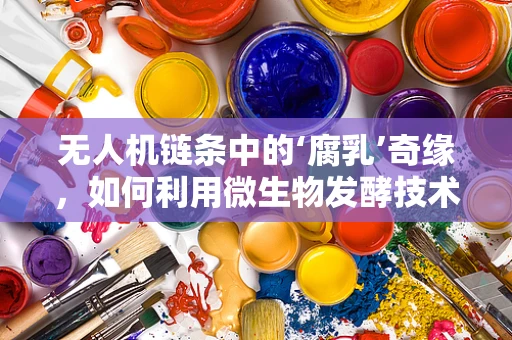无人机链条中的‘腐乳’奇缘，如何利用微生物发酵技术提升无人机电池性能？