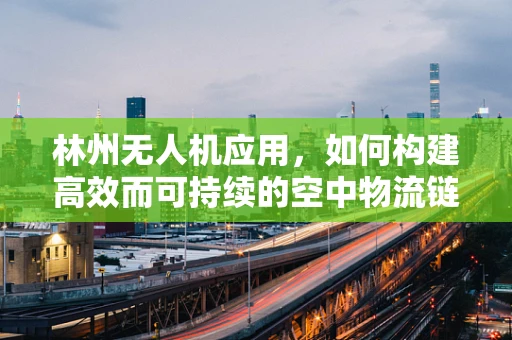 林州无人机应用，如何构建高效而可持续的空中物流链条？