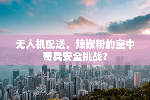 无人机配送，辣椒粉的空中奇兵安全挑战？