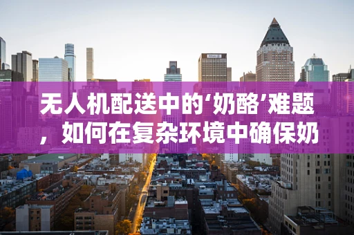 无人机配送中的‘奶酪’难题，如何在复杂环境中确保奶酪的完美送达？