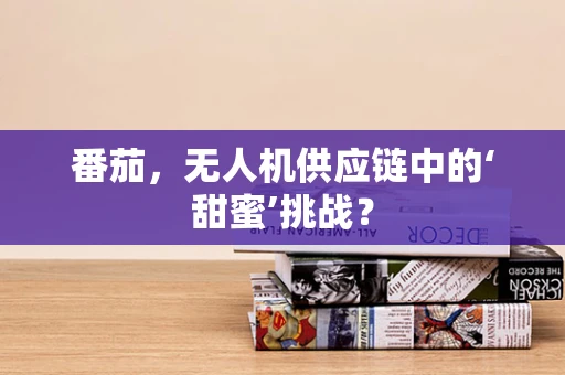番茄，无人机供应链中的‘甜蜜’挑战？