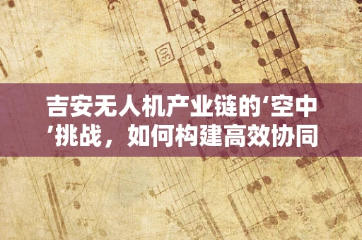 吉安无人机产业链的‘空中’挑战，如何构建高效协同的供应链？