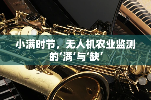 小满时节，无人机农业监测的‘满’与‘缺’