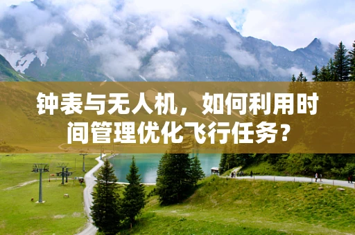 钟表与无人机，如何利用时间管理优化飞行任务？