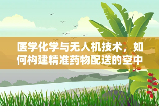医学化学与无人机技术，如何构建精准药物配送的空中桥梁？
