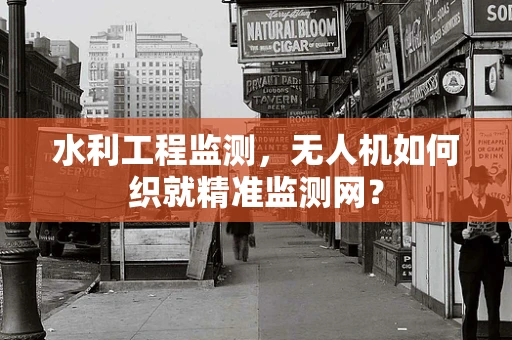 水利工程监测，无人机如何织就精准监测网？