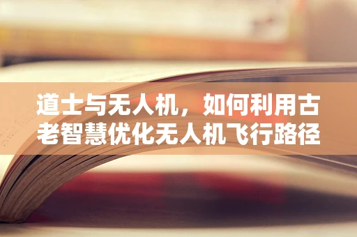 道士与无人机，如何利用古老智慧优化无人机飞行路径？