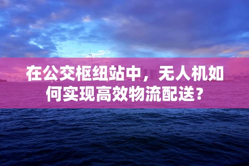 在公交枢纽站中，无人机如何实现高效物流配送？