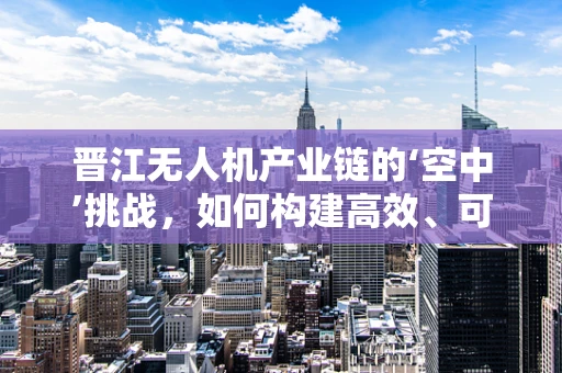 晋江无人机产业链的‘空中’挑战，如何构建高效、可持续的供应链网络？