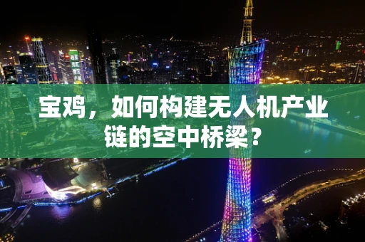 宝鸡，如何构建无人机产业链的空中桥梁？