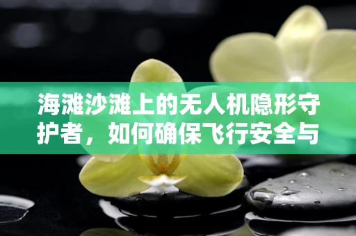 海滩沙滩上的无人机隐形守护者，如何确保飞行安全与隐私保护？