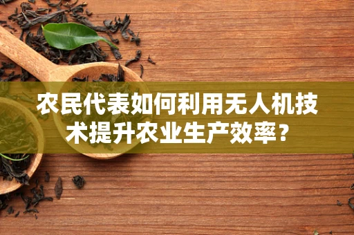 农民代表如何利用无人机技术提升农业生产效率？
