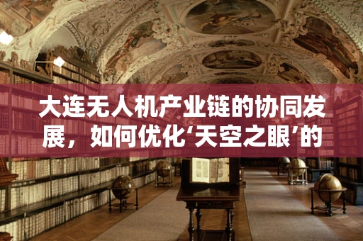 大连无人机产业链的协同发展，如何优化‘天空之眼’的每一环？