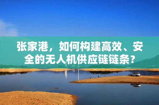 张家港，如何构建高效、安全的无人机供应链链条？