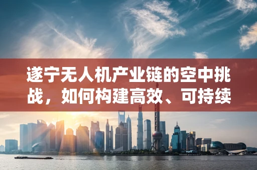 遂宁无人机产业链的空中挑战，如何构建高效、可持续的无人机生态系统？